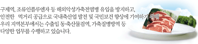 구제역,조류인플루엔자 등 해외악성가축전염병 유입을 방지하고, 안전한 먹거리 공급으로 국내축산업 발전 및 국민보건 향상에 기여하기 위해 우리 지역본부에서는 수출입 동·축산물검역, 가축질병방역 등 다양한 업무를 수행하고 있습니다.