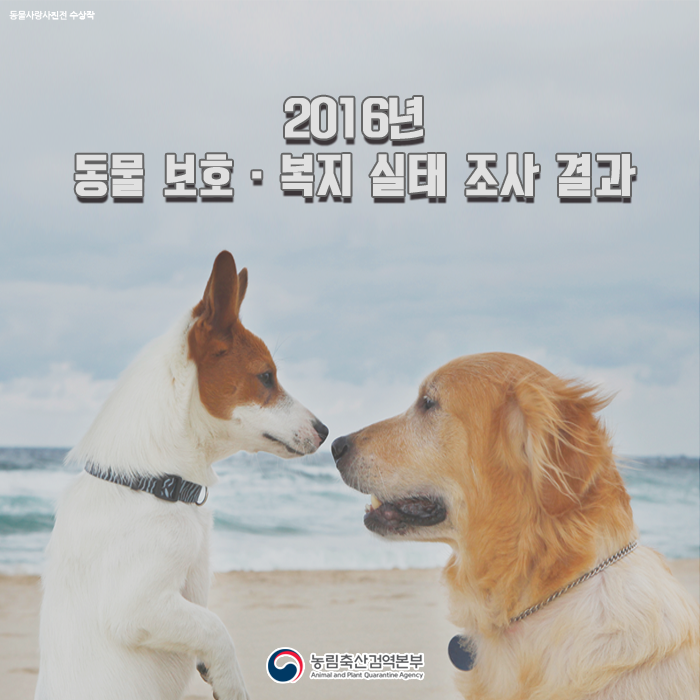 2016년 동물보호 ,복지실태 조사결과