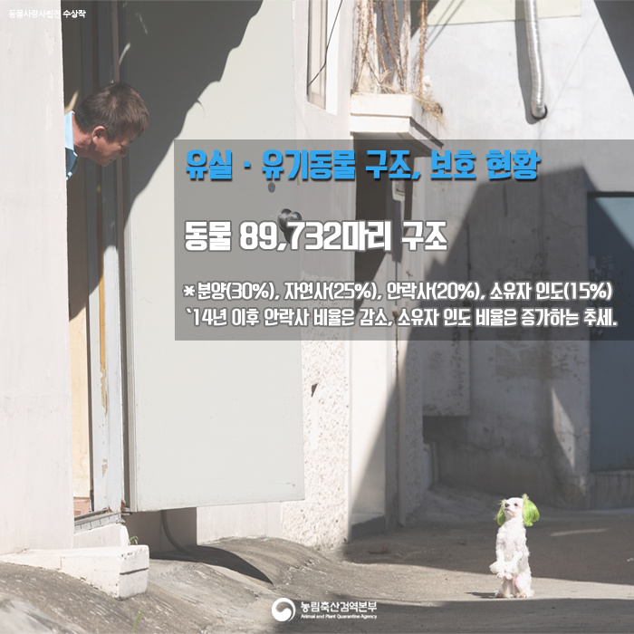 유실유기동물 구조,보호 현황 동물 89,732마리구조 분양30%,자연사25%,알락사 20% 소유자 인도15% '14년이후 안락사 비율은 감소, 소유자 인도 비율은 증가하는 추세.