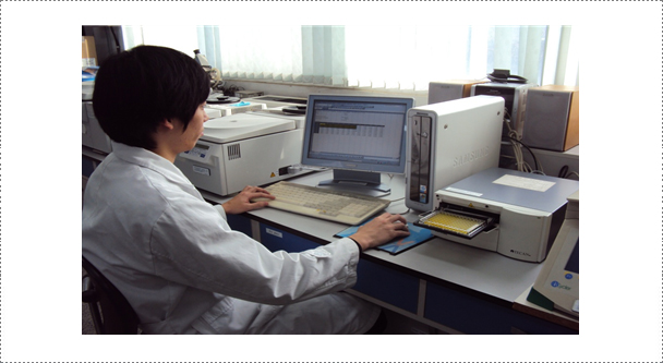 Fig. 9. Serological test is being performed at the rabies laboratory. ELISA test is one of the diagnostic assays that are routinely conducted in the laboratory for the determination of antibodies against the rabies virus.