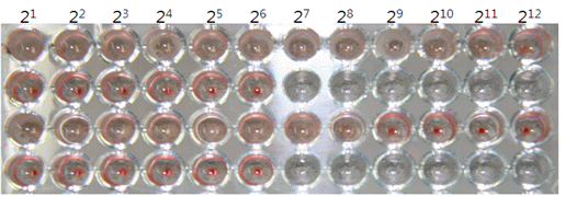 Fig. 6 HA titer of JEV antigen obtained from mice brain. (OJVM, Yang DK et al. 2012).