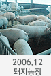 2006.12 돼지농장