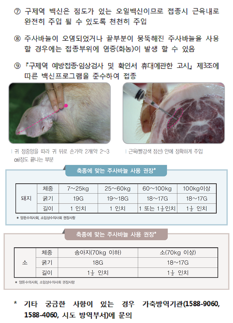 올바른 구제역 백신접종 요령(2017.02.15)