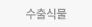 수출식물