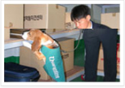 지정 검역물 탐지 훈련 모습 이미지3