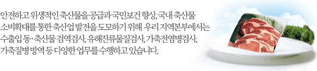 안전하고 위생적인 축산물을 공급과 국민보건 향상, 국내 축산물 소비확대를 통한 축산업 발전을 도모하기 위해  우리 지역본부에서는 수출입 동 · 축산물 검역검사, 유해잔류물질검사, 가축전염병검사, 가축질병 방역 등 다양한 업무를 수행하고 있습니다.