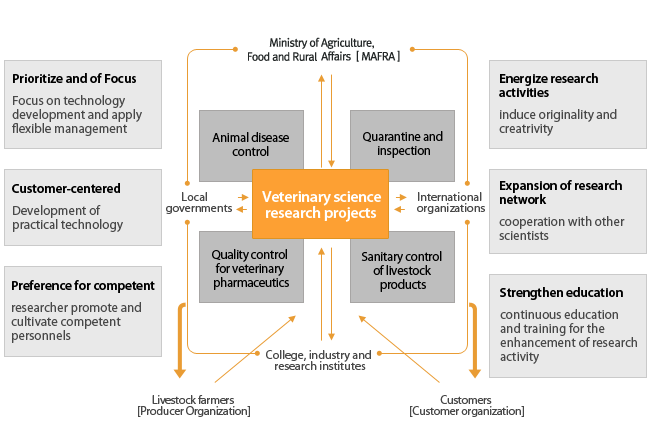 Research and Development process