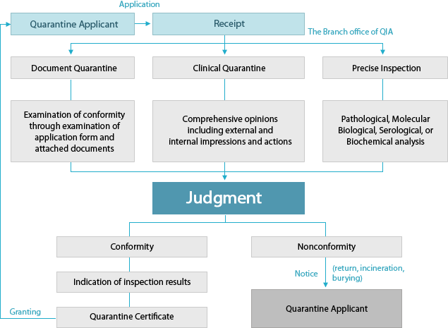 EXPORT AND IMPORT QUARANTINE process