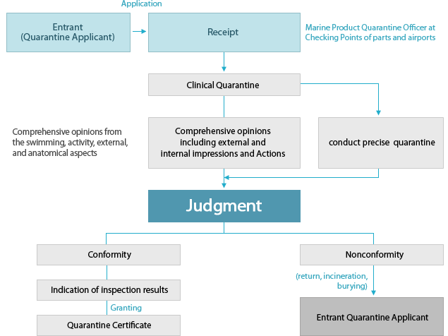 QUARANINE OF PERSONAL EFFECTS process