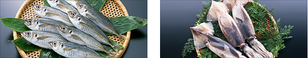 Application for Exported Aquatic Animal Quarantine