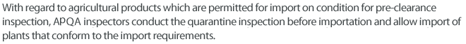 With regard to agricultural products which are permitted for import on condition for pre-clearance inspection, QIA inspectors conduct the quarantine inspection before importation and allow import of plants that conform to the import requirements.