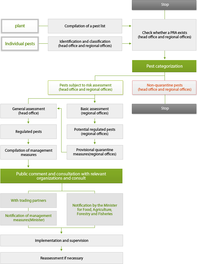 Pest Risk Analysis Process