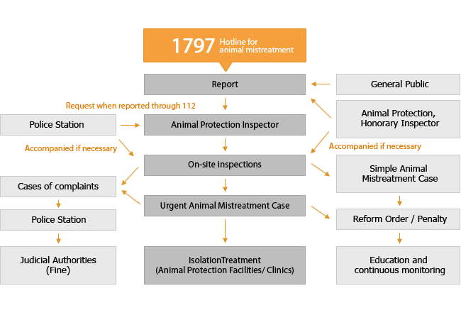 Handling Process for Animal Mistreatment