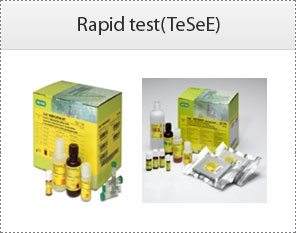 Rapid test(TeSeE)