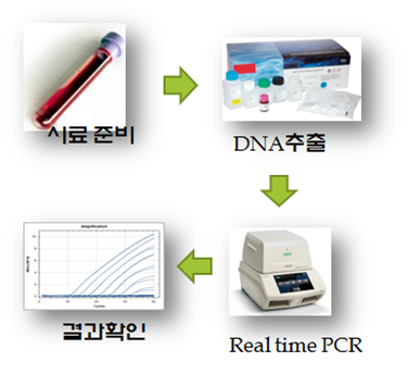 테스트과정 이미지1