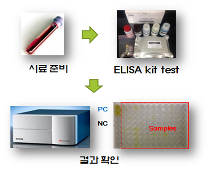 테스트과정 이미지2