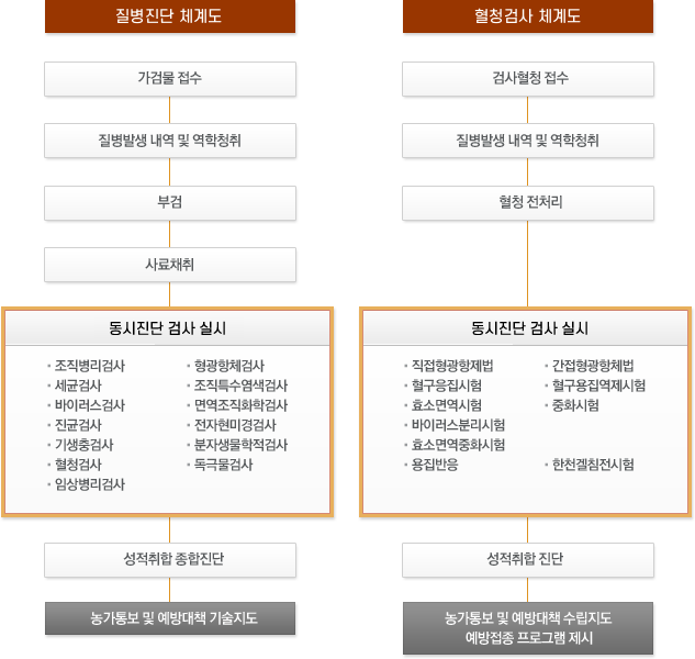 질병진단 체계도의 가검물 검수 - 질병발생 내역 및 역학청취 - 부검 - 사료채취 - 동시진단 검사 실시(조직병리검사, 세균검사, 바이러스검사, 진균검사, 기생충검사, 혈청검사, 임상병리검사, 형광항체검사, 조직특수염색검사, 면역조직화학검사, 전자현미경검사, 분자생물학적검사, 독극물검사 ) - 성적취합 종합진단 - 농가통보 및 예방대책 기술지도 과정와 혈청검사 체계도의 검사혈정 검수 - 질병방역 내역 및 역학성취 - 혈청 전처리 - 동시진단 검사 실시(직접형광항제법, 간접형광항체법, 혈구응집시험, 혈구용집역제시험, 효소면역시험, 중화시험, 바이러스분리시험, 효소면역중화시험, 용집반응, 한천겔침전시험) - 성적취합 진단 - 농가통보 및 예방대책 수립지도 예방접종 프로그램 제시 과정을 표시