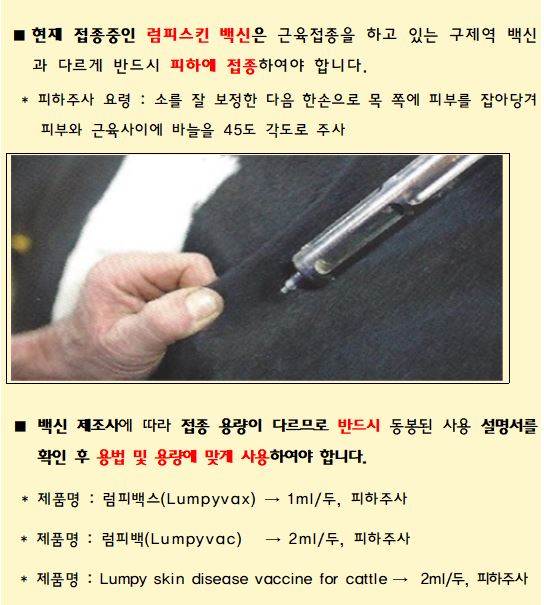 소 럼피스킨 병 예방백신 접종시 주의사항, 현재 접종중인 럼피스킨 백신은 근육접종을 하고 있는 구제역 백신과 다르게 반드시 피하에 접종하여야 합니다. 피하주사 요령 : 소를 잘 보정한 다음 한손으로 목 쪽에 피부를 잡아당겨 피부와 근육사이에 바늘을 45도 각도로 주사 백신 제조사에 따라 접종 용량이 다르므로 반드시 동봉된 사용 설명서를 확인 후 용법 및 용량에 맞게 사용하여야 합니다. 제품명 : 럼피백스(Lumpyvax) → 1ml/두, 피하주사, 제품명 : 럼피백(Lumpyvac)   → 2ml/두, 피하주사, 제품명 : Lumpy skin disease vaccine for cattle →  2ml/두, 피하주사