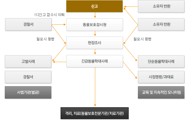 동물학대 처리도