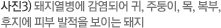 사진3) 돼지열병에 감염되어 귀, 주둥이, 목, 복부, 후지에 피부 발적을 보이는 돼지