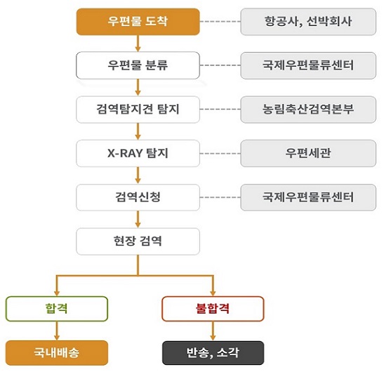 국제우편화물검역절차에 따라 우편물 도착(항공사, 선박회사) - 우편물 분류(국제우편물류센터) - 검역탐지견 탐지(농림축산검역본부) - X_RAY탐지(우편세관) - 검역신청(국제우편물류센터) - 현장 검역 후 결과에 따라 합격이면 국내배송, 불합격이면 반송 소각 절차를 진행하는 흐름도