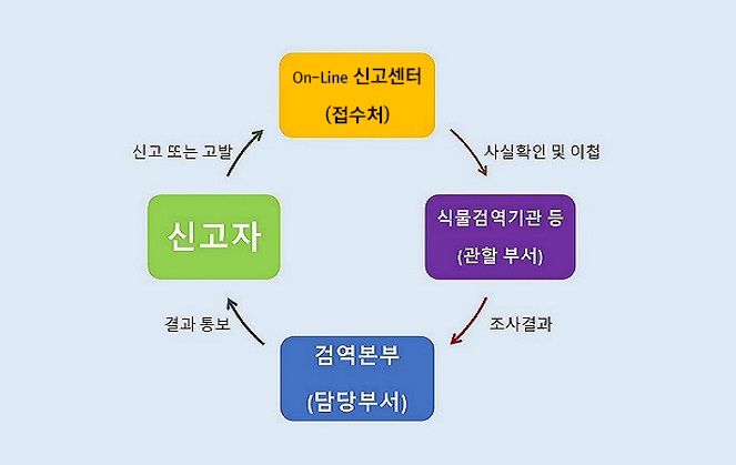 식물검역 위반사항 신고 및 고발 처리절차, 신고자가 위반사항을 신고 또는 고발하면 온라인 신고센터(접수처)에서 해당사항을 접수받고, 식물검역기관 등 관할 부서에 사실확인 및 사건을 이첩합니다. 관할 부서는 조사한 결과를 검역본부 내 담당부서로 인계하고, 본부는 내용을 정리하여 신고자에게 결과를 통보합니다. 끝.