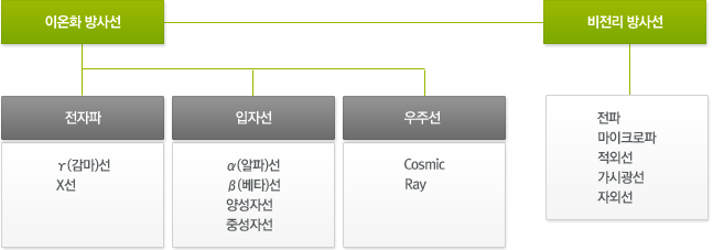 방사선 종류