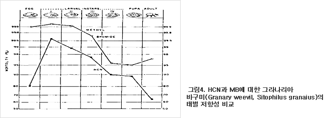 그림4. HCN과 MB에 대한 그라나리아 바구미(Granary weevil, Sitophilus granaius)의 태별 저항성 비교