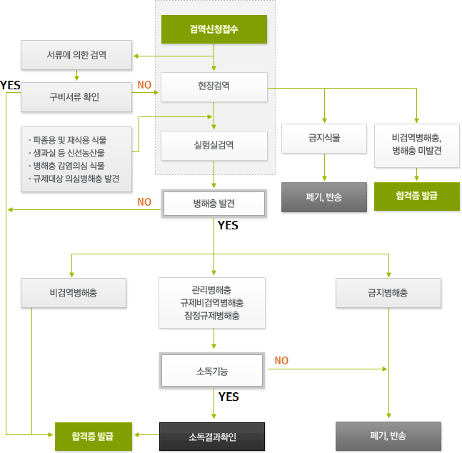 수입식물 검역절차 흐름도, 검사신청을 접수 받으면 현장검사와 서류에 의한 검사로 분류가 되는데 서류에 의한 검사에 의해 구비서류를 확인하여 통과될 경우 합격증을 발급하고 통과되지 않을 경우 현장검사를 실시한다. 현장검사 시 금지식물일 경우 폐기, 반송을 하고 비검역병해충, 병해충 미발견 시 합격증을 발급한다. 하지만 파종용 및 재식용 식물, 생과일 등 신선농산물, 병해충 감염의심 식물, 규제대상 의심병해충 발견 시 실험실 검사를 하여 병해충이 발견되지 않을 시 합격증을 발급하고 발견될 시 비검역병해충, 관리병해충/규제비검역병해충/잠정규제병해충, 금지병해충으로 분류된다. 비검역병해충일 경우 합격증을 발급하고 금지병해충일 경우 폐기, 반송을 한다. 관리병해충/규제비검역병해충/잠정규제병해충일 경우 소독가능하면 소독결과확인 후 합격증을 발급하고 소독불가능하면 폐기, 반송한다.