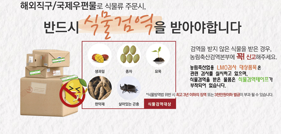 해외직구 식물검역 안내 새창으로 열기
