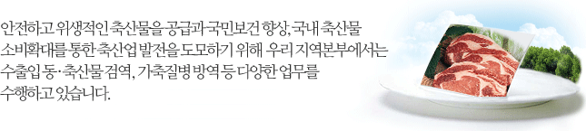 안전하고 위생적인 축산물을 공급과 국민보건 향상, 국내 축산물 소비확대를 통한 축산업 발전을 도모하기 위해  우리 지역본부에서는 수출입 동 · 축산물 검역검사, 유해잔류물질검사, 가축전염병검사, 가축질병 방역 등 다양한 업무를 수행하고 있습니다.