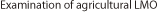 Examination of agricultural LMO