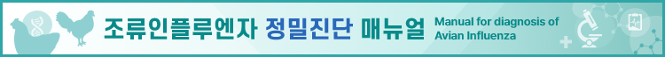 조류인플루엔자 정밀진단 매뉴얼 링크, 클릭 시 페이지 이동