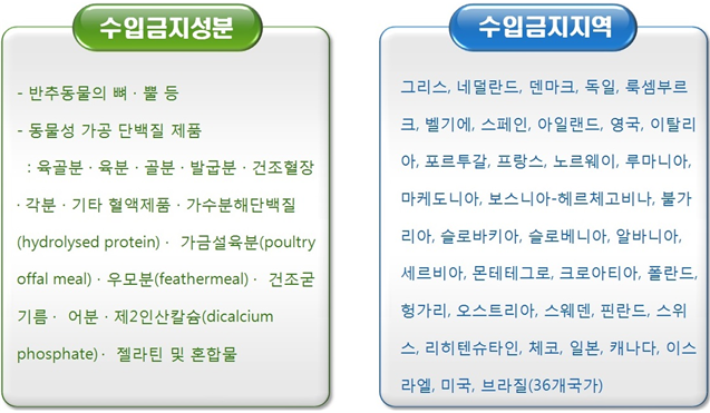 검역6